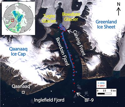 Effects of the glacial meltwater supply on carbonate chemistry in Bowdoin Fjord, Northwestern Greenland